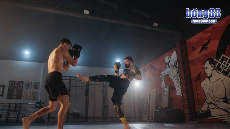 Cá độ quyền anh - Cơ hội đầu tư, soi kèo chuẩn xác Bí quyết làm giàu từ cá độ quyền anh