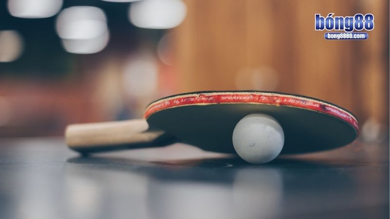 Cá độ bóng bàn - Hướng dẫn cách chơi toàn diện từ A đến Z Cá độ bóng bàn có những loại kèo độc đáo nào