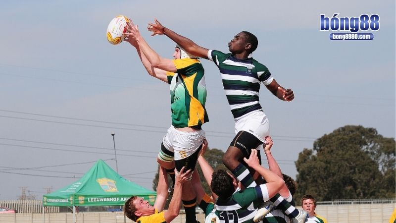 Cá độ bóng bầu dục - Mẹo vào bờ nhanh chóng cho bet thủ Cá độ bóng bầu dục có trách nhiệm để tận hưởng trọn niềm vui