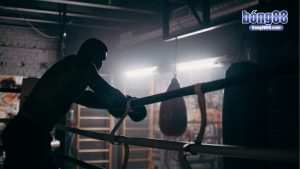 Cá độ quyền anh chơi thế nào?