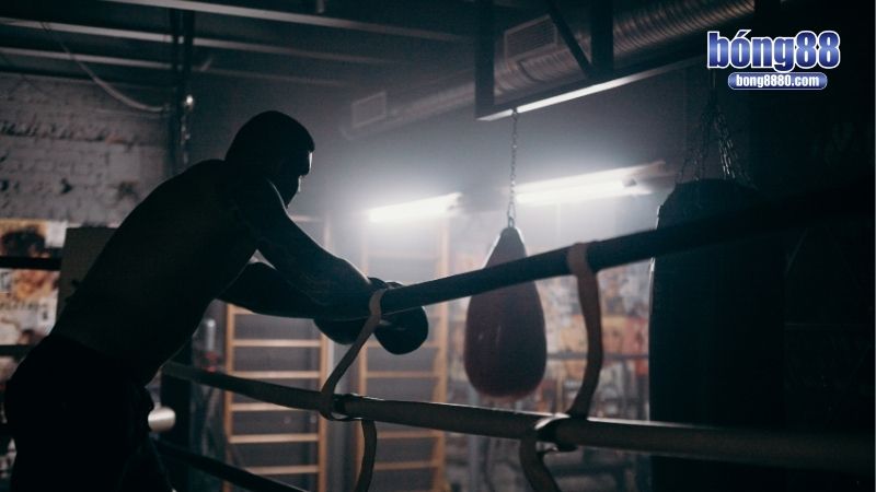 Cá độ quyền anh - Cơ hội đầu tư, soi kèo chuẩn xác Cá độ quyền anh chơi thế nào?