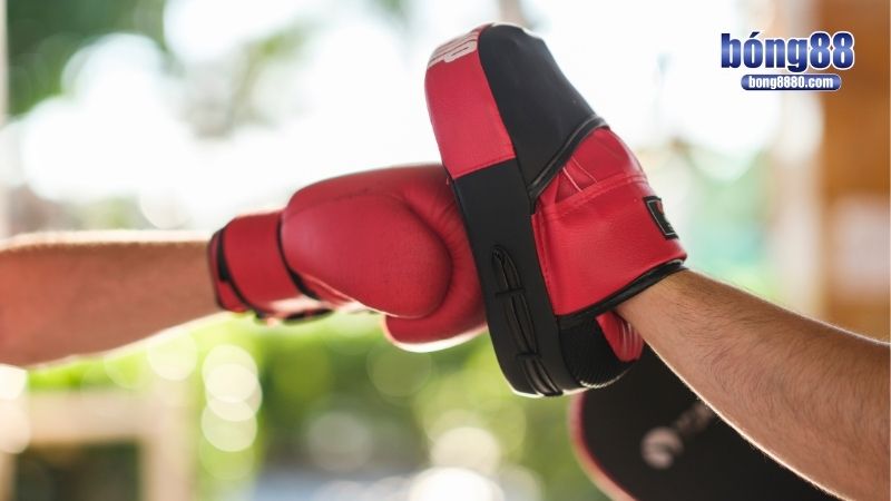 Cá độ quyền anh - Cơ hội đầu tư, soi kèo chuẩn xác Các cược điển hình trong cá độ quyền anh