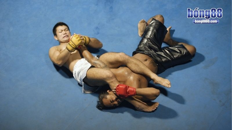 Cá độ MMA - Chiến lược đặt cược thông minh, hiệu quả Cập nhật các kèo cược trong cá độ MMA để chơi linh hoạt