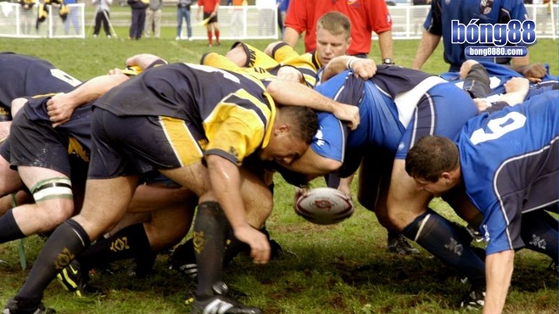 Cá độ bóng bầu dục - Mẹo vào bờ nhanh chóng cho bet thủ Chơi cá độ bóng bầu dục hiệu quả cần kết hợp nhiều tuyệt chiêu