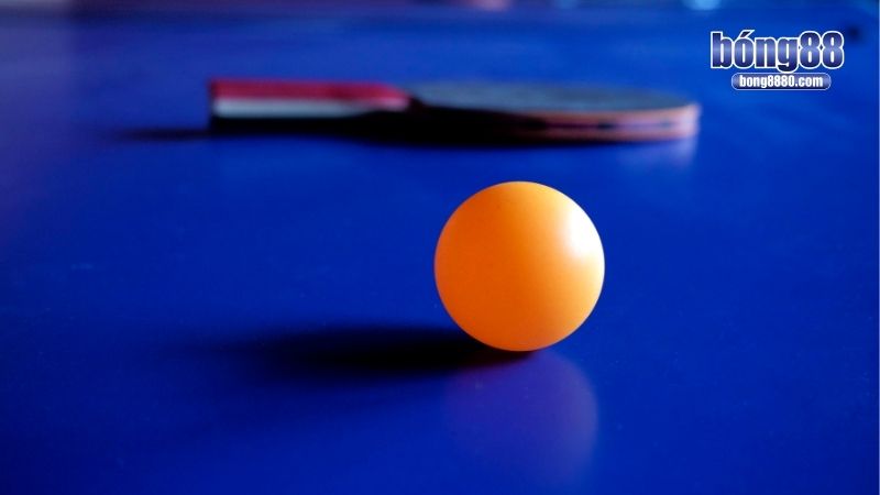 Cá độ bóng bàn - Hướng dẫn cách chơi toàn diện từ A đến Z Cược bóng bàn đa dạng sự lựa chọn hấp dẫn