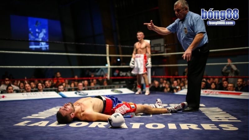 Cá độ quyền anh - Cơ hội đầu tư, soi kèo chuẩn xác Kiến thức cược mang lại lợi nhuận vượt trội