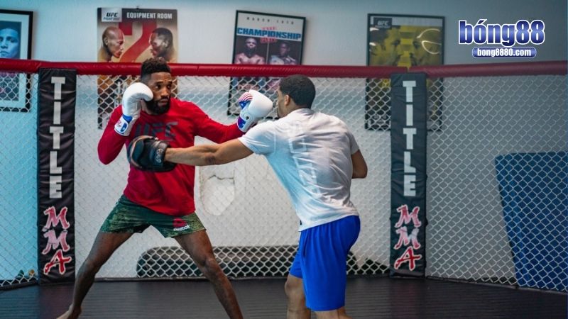 Cá độ MMA - Chiến lược đặt cược thông minh, hiệu quả “Thần chú” mỗi khi chơi cá độ MMA