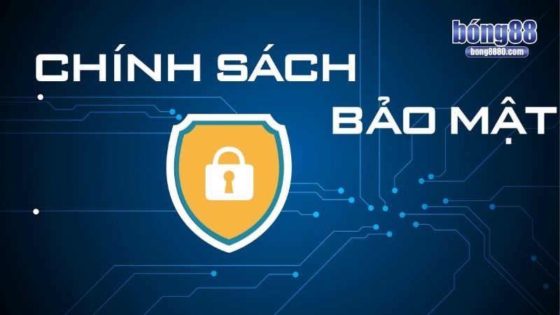 Bong88 mang đến đầy đủ quyền lợi cho người tham gia