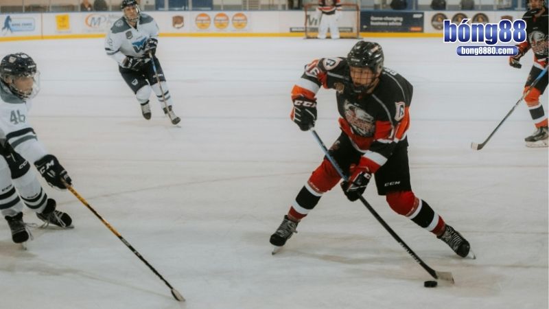 Cá độ hockey đỉnh cao - Soi kèo chuyên nghiệp, thắng chắc Cá độ hockey có phù hợp với newbie?