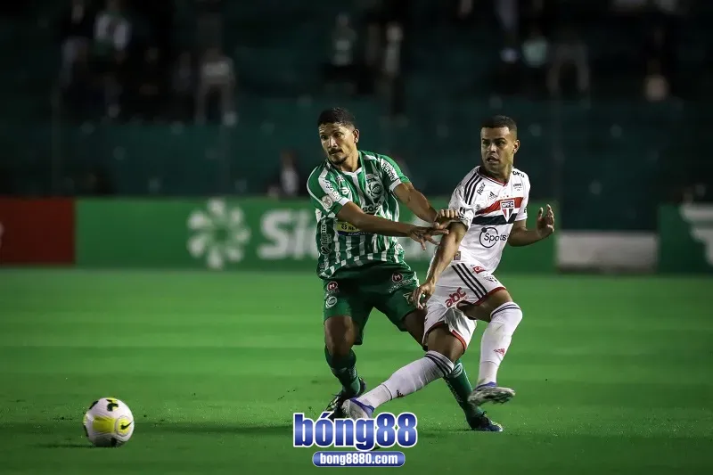Dự đoán kết quả Juventude 0-1 Sao Paulo