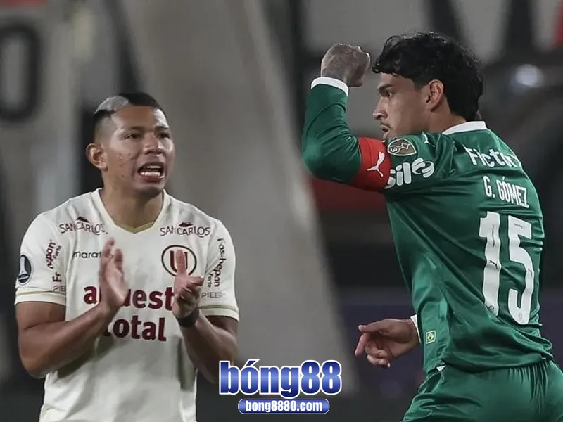 Palmeiras vs Deportes (22/8) tại vòng 1/8 Copa Libertadores Đội tuyển Palmeiras đang được đánh giá cao hơn
