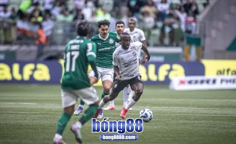 Palmeiras vs Deportes (22/8) tại vòng 1/8 Copa Libertadores Dự đoán kết quả trận đấu Palmeiras 4-2 Deportes