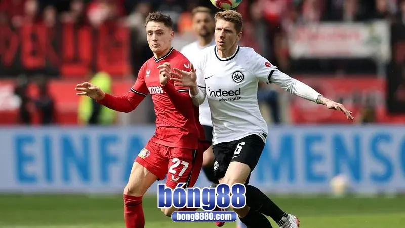 Dự đoán kết quả trận đấu giữa Bayer Leverkusen vs Eintracht Frankfurt