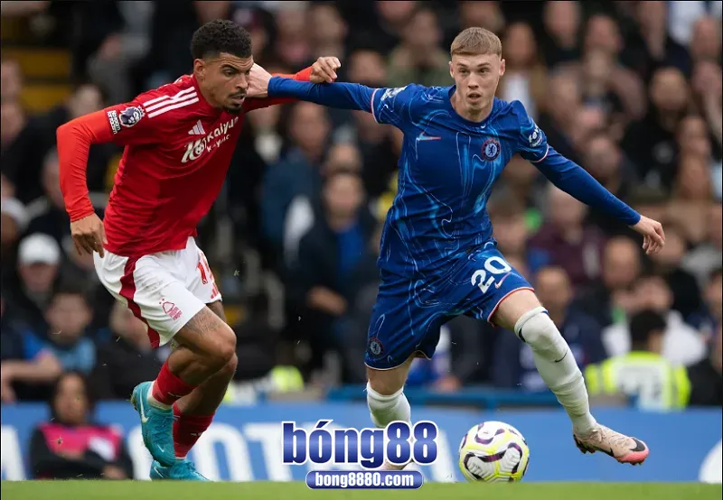Nottingham vs Chelsea (18h30 ngày 18/10/2025) - Vòng 8 Ngoại hạng Anh Dự đoán kết quả trận đấu Nottingham Forest 1 - 2 Chelsea